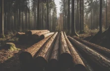 Matières premières : le calme entre deux tempêtes