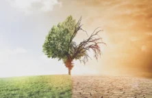 Comment jouer le réchauffement climatique en Bourse ?