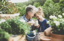 Achat d’un bien en nue-propriété : jusqu&rsquo;à 40% de décote !