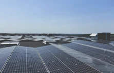 Argan : belle progression des loyers