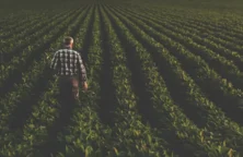 Mercosur : l’UE devra se débrouiller sans l’Irlande