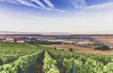 Céder sa ferme, ou s&rsquo;installer, peut devenir un parcours du combattant