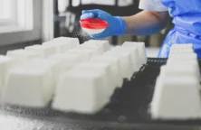 Savencia signe un accord de collecte de lait avec 125 producteurs du Sud-Ouest