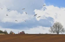 La crise paysanne en France se transforme en bras de fer agriculteurs – vétérinaires