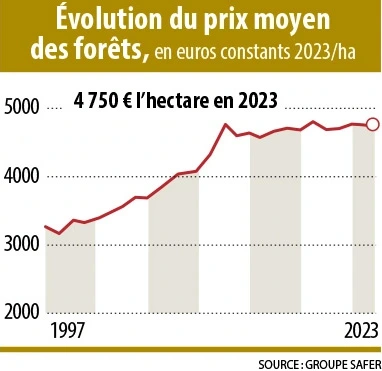 Infographie-Évolution du prix moyen des forêts