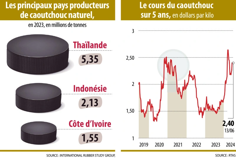 Infographie-caoutchouc
