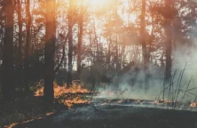 Changement climatique : quelles menaces sur votre patrimoine immobilier ?