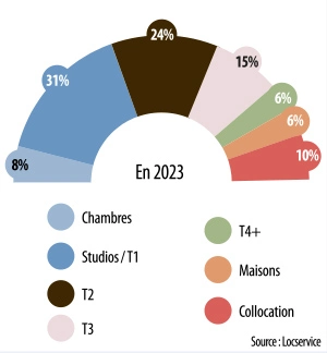 Infographie : Les logements les plus loués en France