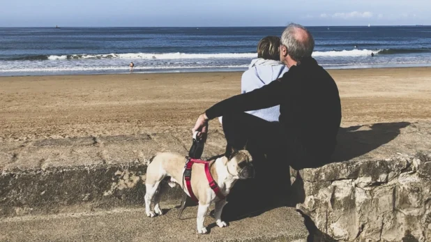 Où placer notre argent en 2026 sans prendre de risques ?