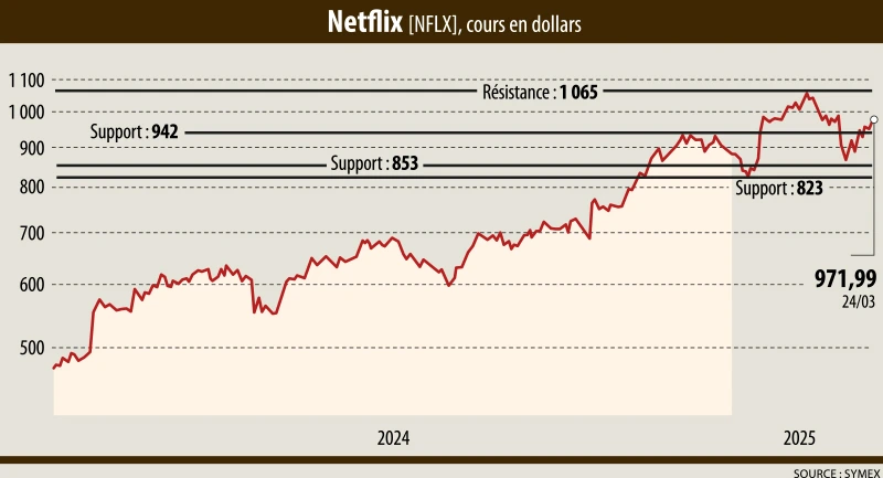 Infographie : Analyse graphique Netflix